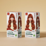 제니하우스 프리미엄 헤어컬러 크림타입 염색약 120g, 브릭오렌지 9BO, 2개 : 제니하우스 브랜드스토어