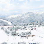소노벨 비발디파크 리프트 장비렌탈 스노위랜드 패키지 홍천 소노호텔앤리조트 오션월드 룸온리 : couponshop