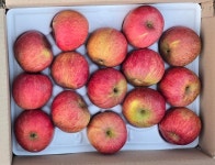 황정 정품 꿀부사 15과(3kg 내외) : 게으른농부네농장