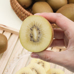 제주 제스프리 골드키위 점보과 8입 1.2kg내외 4입X2팩 가정용·선물용 : 맛잘알마켓