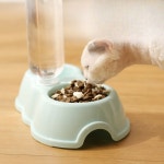 반려묘 자동 급식기 물통 심플 식기 받침대 고양이 사료 그릇 강아지 겸용 이중 : 이든해종합몰