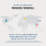 (3개월) 닥터초이스 관절프리미엄 MSM 2000mg 의사약사개발 가바 병풀 레드비트 : 하이브리드 닥터초이스