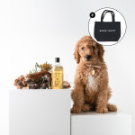 [캔버스백 증정] 본다이워시 도그 워시 페이퍼바크 & 레몬그라스 500 ml 강아지 애견 반려동물 샴푸 해충방지 : 본다이워시