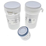 산소 셀 센서 허니웰 CITY 40XV AAY80-390R-BW SR-X2V O2 프로브 4O2-GP AO-03 XT-PC1 MCXL-BC1 MC2-4 MCXL-4용 : 빅원물류6