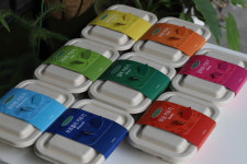 건강새싹채소 : 틔움세상