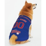 시카고 맞춤 반려동물 의류 반려견 저지 대형 및 중형 소형견을 위한 이름과 번호 제작 : 마이바이바이