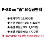 [F-80] 숨80cc 여성용 요실금 팬티 : 봄봄의료기