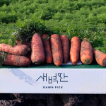 제주 구좌당근 비세척 국내산 햇 흙당근 : 새벽딴