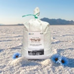 신안 건조 천일염 9kg, : 헬스앤팜1004