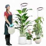 2팩 식물 성장등, 실내 LED 풀 스펙트럼, 자동 타이머, 대형 조명에 적합 : 포리세븐코퍼레이션