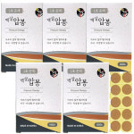 압봉(은색) - 5박스/백살압봉 압침봉 1호 6호 선택 이침 수지침 : 좋은친구 비즈팜