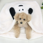 강아지침낭 스누피 퍼플 담요 이불 워머 겨울 고양이담요 강아지 유모차방석 쿠션S : 마이펫ON