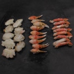 손질 대게 집게다리와 몸통 500g x 3팩세트 대게도시락 : 크레이지크랩