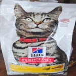 힐스 고양이사료 어덜트 유리너리 헤어볼 컨트롤 1.6kg : 에바다.