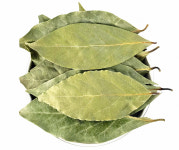 향신료 오토 월계수잎230g : 마라천국