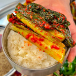 전라도 여수 돌산 갓 김치 2kg 4kg : 금서율