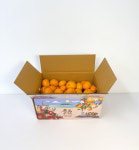 석희농장 초고당도 하우스감귤(로얄과) 2.5kg : 석희 농장