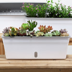 미니정원 다육이 텃밭 자동급수 상추 베란다 화분 상추화분 저면관수화분 베란다화분 미니텃밭화분 자동급수화분 : 오션트렌스