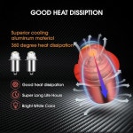 호노슨 3피스 손전등 전구 55-루멘 4.5볼트 LED 베이오넷 10년 수명, 베이스 교체 크립톤 41-1644 토치용 : 글직자