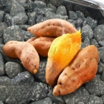 더다올 맥반석 돌 3kg 캠핑 구이용 맥반석돌 베이킹스톤 정수 수경재배 : The 다올