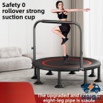 2025년형 새로운 트램펄린 피트니스 가정용 실내 바운싱 베드 성인 운동 체중 감량 소형 : EtherealAccess