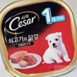 정리팟 펫간식 1세이하 소고기 달걀 100gx24개 강아지습식캔 애견습식사료 : 정리팟