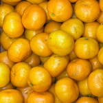 제주 감귤 2kg 3kg 5kg 10kg 타이벡 노지 하우스 귤 조생귤 : 옥이네청과
