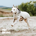 [블랙도기] Puff Dog Coat 강아지 경량패딩 패딩 자켓 : lalacopain