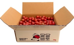 달달방토(대추방울토마토, 올인, 엘도라도) 3kg : 농부가간다