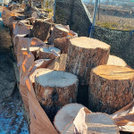 참나무 30cm 절단목 통나무 장작 화목 난로 1루베 : 불놀이장작