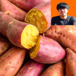 2026년 햇고구마 꿀고구마 3kg 5kg 10kg 해남 못골농장 : 해남고구마생산자협회