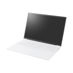 (195만+그램케어) LG그램 17 윈도우 17Z90TL-GS56K 엘지 대화면 노트북 : LG전자인증점 엘시인포