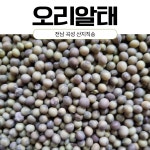 달구지농장 산지직송 25년산 국산 햇 오리알태 국내산 콩나물콩 1kg : 달구지농장