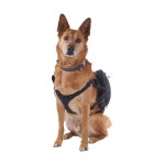 궁극의 방향 개 조끼, 색상 오닉스 V2, 사이즈 L (80479723ONX-LG) : 온뉴리마켓