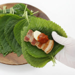 경산 하양 깻잎 찹찹이 당일수확 산지직송 500g 1kg 2kg : 태양의선물