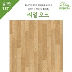 kcc 숲 그린 1.8T 친환경 장판 방 거실 원룸 사무실 셀프시공 NP18-4681 1롤 : 바닥재하우스
