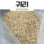 달구지농장 산지직송 25년산 국산 햇 귀리 국내산 귀리 1kg : 달구지농장