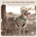 라이크라가 포함된 선레이마스코타 노 풀 도그 하네스, 3점 힘 분산 및 3D 패딩, 소형 중형 대형견을 위한 조절 가능한 통기성 메시(미스티 그린... 