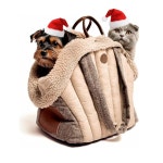 올빼미 개 여행 가방 | 고양이 캐리어 소형 펫 택시 가벼운 소프트 사이드 토트, 카시트 호환, 세탁 가능, 6 u201320파운드 소재 브라운... 