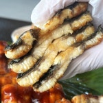 국산 손질 민물장어 자포니카 뱀장어 제철 산지직송 양념 자연산 구이 생물 양식 밀키트 : 알랑몰랑상회