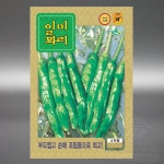 KS 신일미꽈리 600립 약한 매운맛 조림용 꽈리 고추 씨앗 씨 종자 : 장보고팜