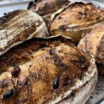 (유기농)크랜베리 사워도우 : 럭키베이커리