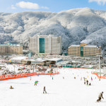 소노캄 비발디파크 스노위랜드 리프트 장비렌탈 오션월드 패키지 소노호텔앤리조트 홍천 룸온리 : couponshop