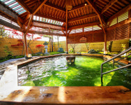 온센링 일본 니이가타현 츠키오카 온천 피부 미인 보습 유황 입욕제(500g) : 힐링GO