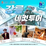 네컷투어 겨울시즌편 딸기따기 핀란드사우나 겨울동해바다 글램핑체험 KTX 반나절투어 스냅촬영 : 가자여행사