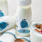 청춘목장 목장애 수제 요거트 150ml x 10병 : 김제지평선몰