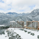 (설악) 소노펠리체 델피노 or 소노펠리체 빌리지 델피노 고성 소노호텔앤리조트 룸온리 : couponshop