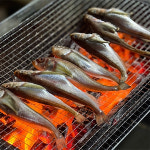 국내산 자연산 알배기 냉동 도루묵 알도루묵 햇도루묵 450g-550g 5-7미 : 요리하는남자들