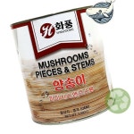 비비드 양송이 피시스 앤드 스탬 : 다사랑dasarang