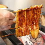 고창 민물장어 자포니카 풍천 꼼장어 바다장어 완전손질 소스2개 초생강포함 산지직송 : 골라담자 몰